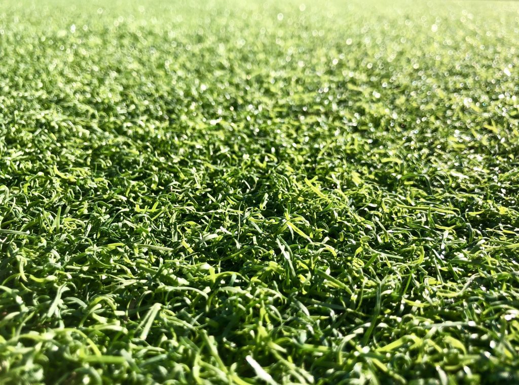 Green Artificial turf full frame background